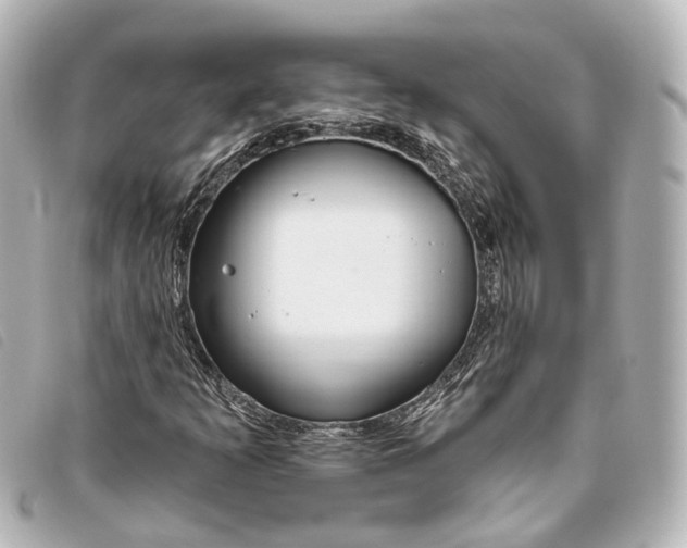X0000093361253200710251123