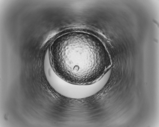 X0000093361255200710251123