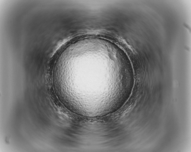 X0000093361256200710251123