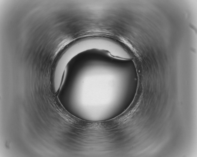 X0000093361259200710251123