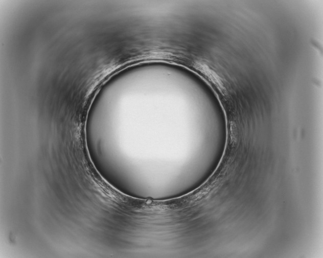 X0000093361260200710251123