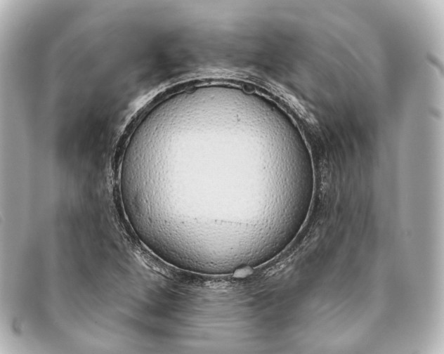 X0000093361264200710251123