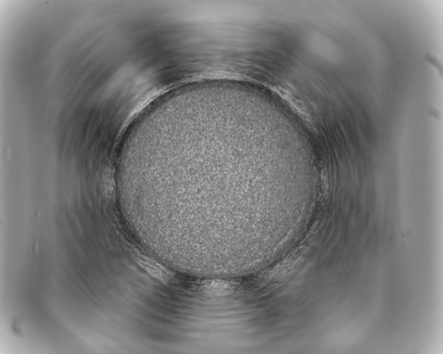 X0000093361266200710251123