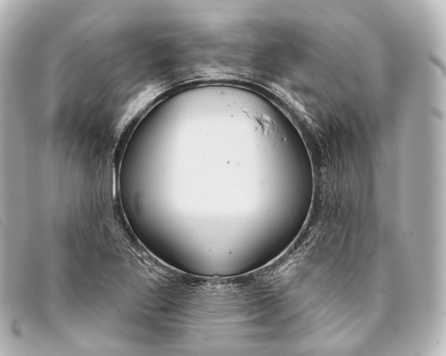 X0000093361269200710251123