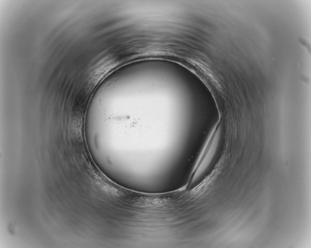 X0000093361273200710251123