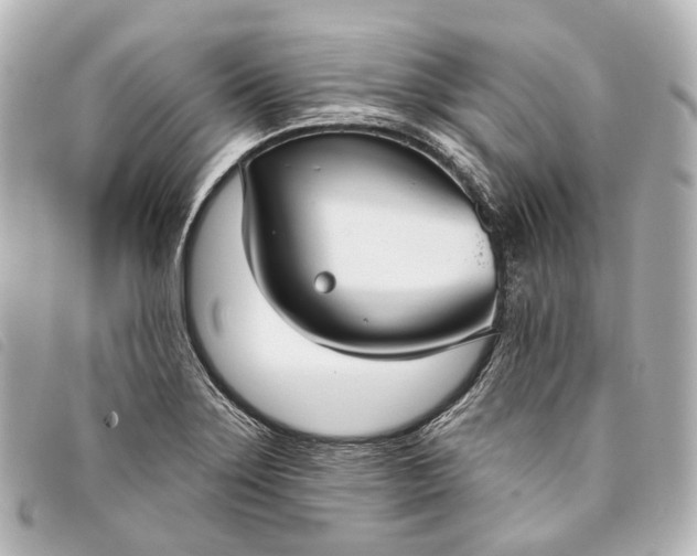 X0000093361275200710251123