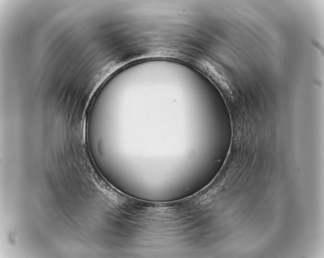 X0000093361276200710251123