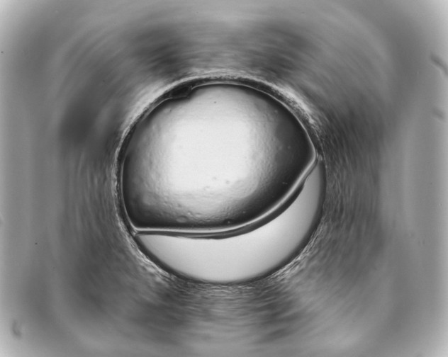 X0000093361279200710251123