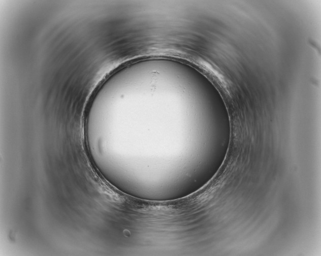 X0000093361280200710251123