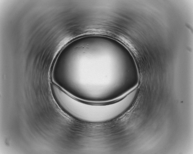 X0000093361283200710251123