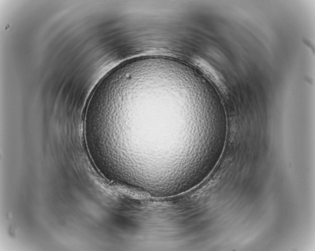 X0000093361284200710251123
