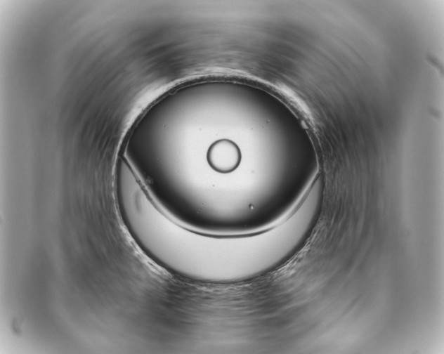 X0000093361287200710251123