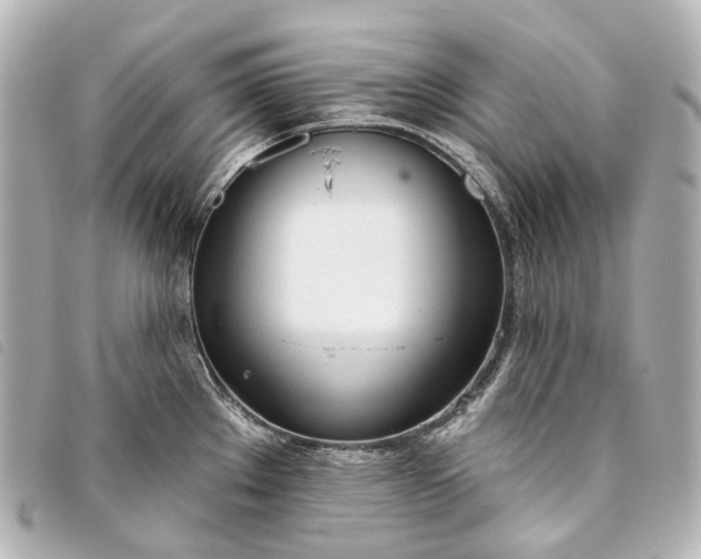 X0000093361289200710251123