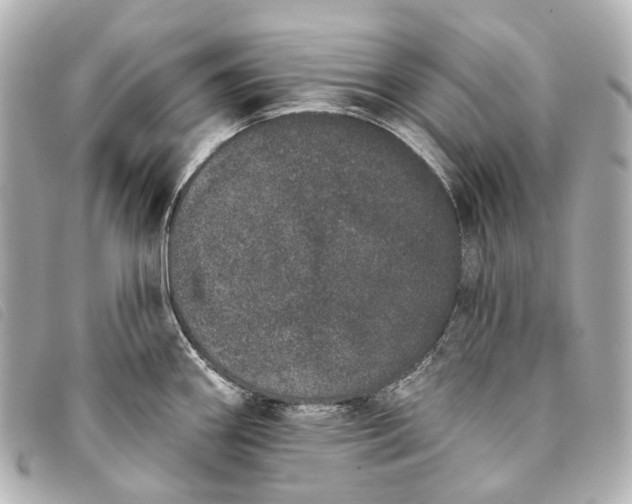 X0000093361290200710251123
