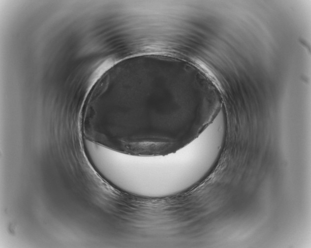 X0000093361291200710251123