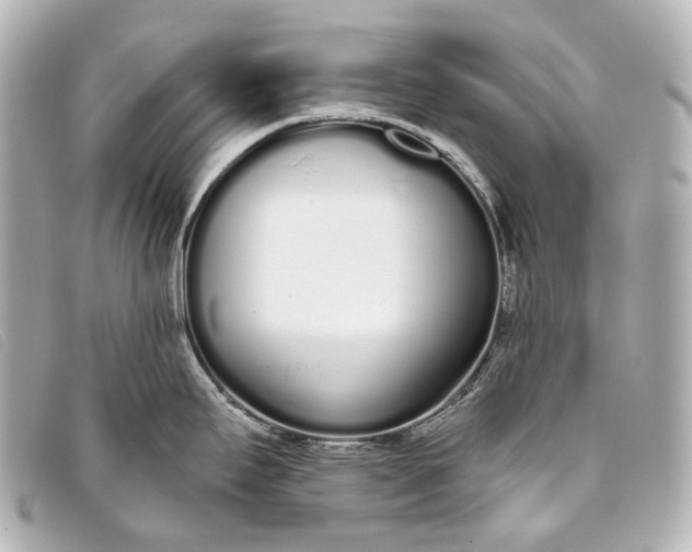 X0000093361295200710251122