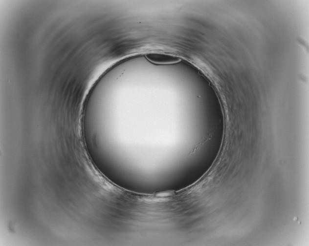 X0000093361296200710251122