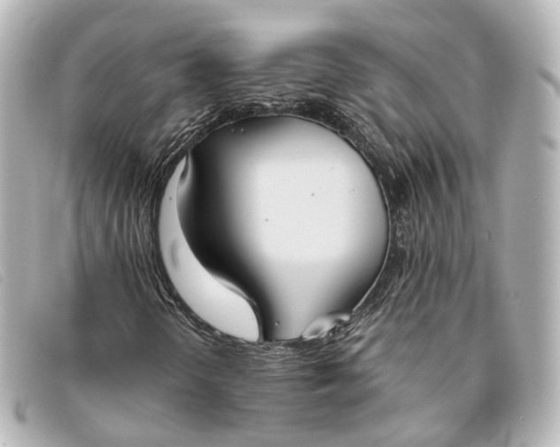 X0000093361298200710251122