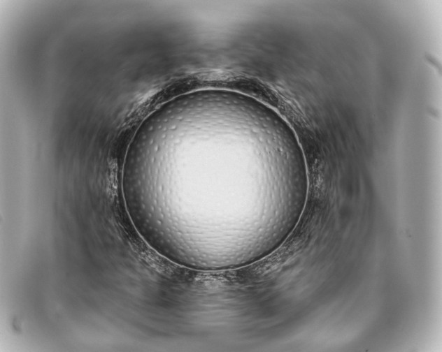 X0000093361301200710251122