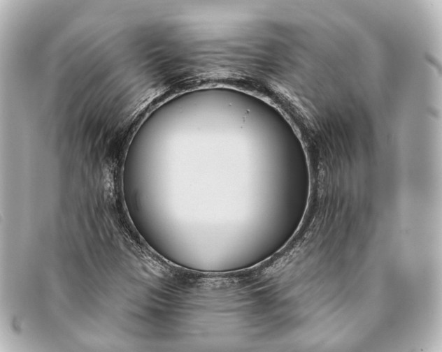 X0000093361305200710251122