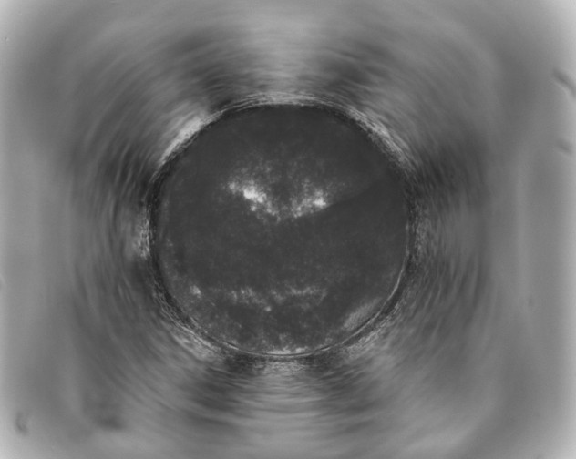 X0000093361306200710251122