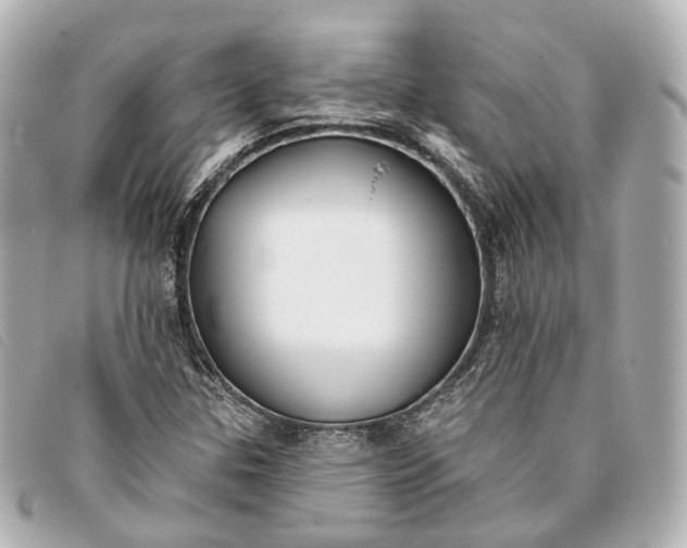 X0000093361307200710251122