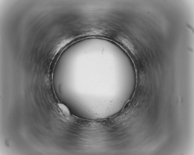 X0000093361308200710251122