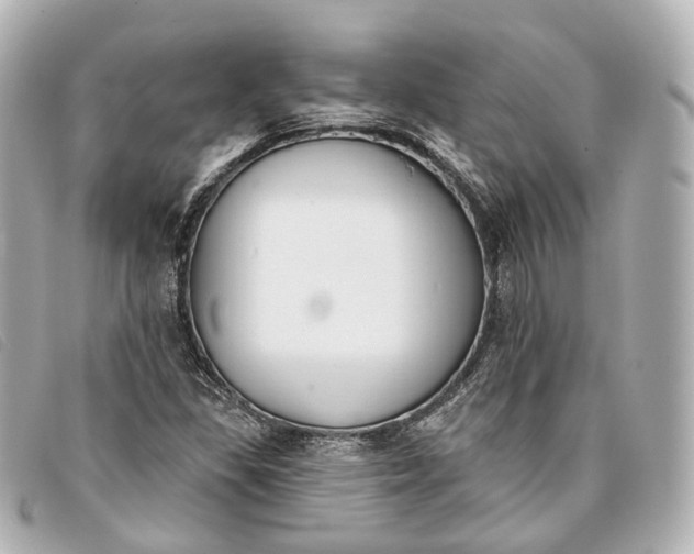 X0000093361309200710251122