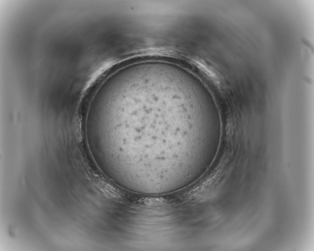 X0000093361310200710251122