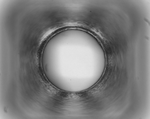 X0000093361311200710251122
