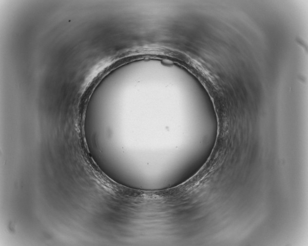 X0000093361312200710251122