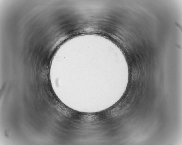 X0000093361314200710251122