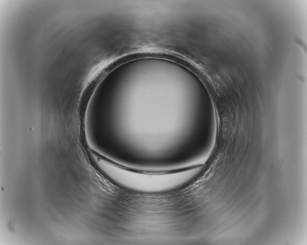 X0000093361319200710251122