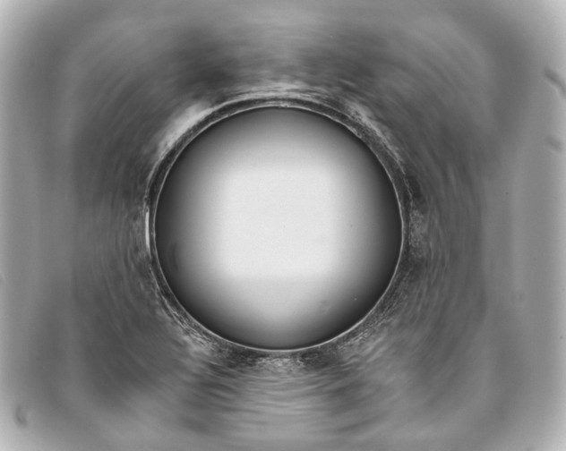 X0000093361320200710251122