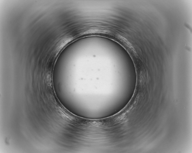 X0000093361321200710251122