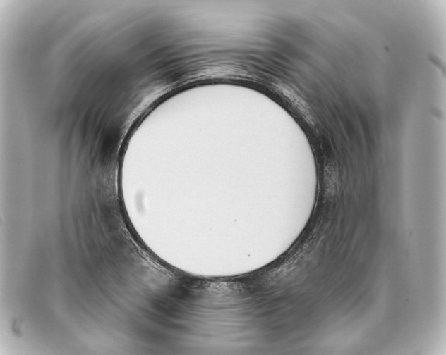 X0000093361322200710251122