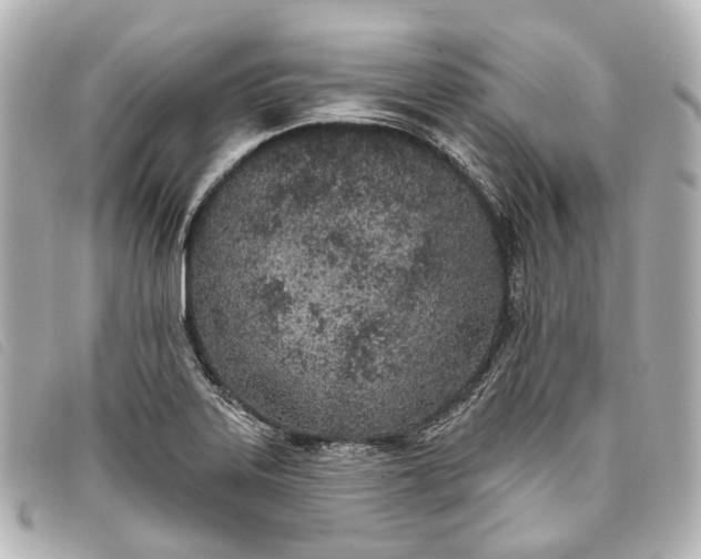 X0000093361323200710251122