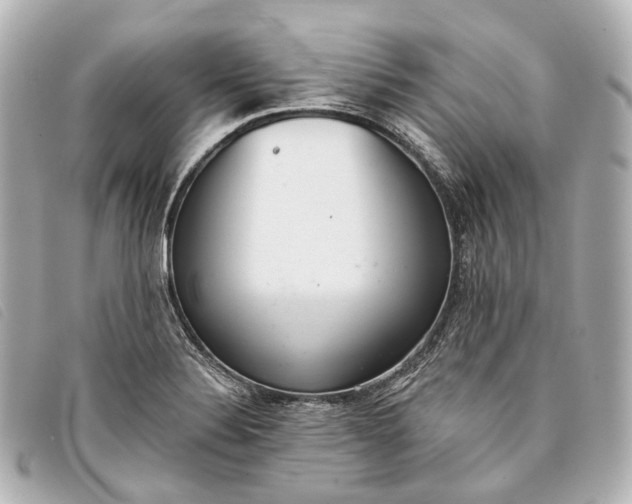 X0000093361324200710251122