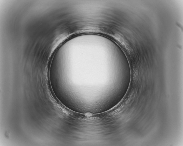 X0000093361325200710251122
