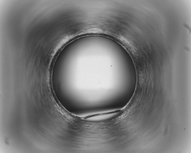 X0000093361326200710251122