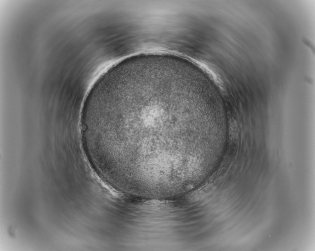 X0000093361327200710251122