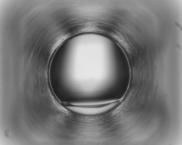 X0000093361330200710251122