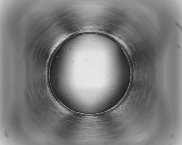 X0000093361333200710251122