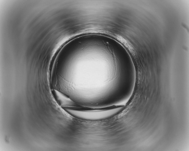 X0000093361334200710251122