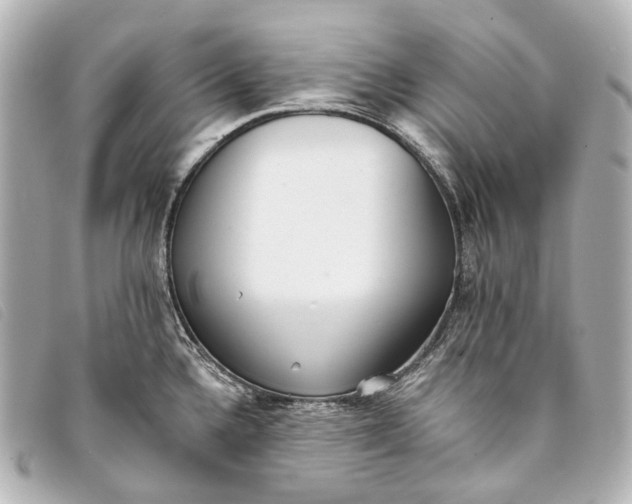 X0000093361336200710251122
