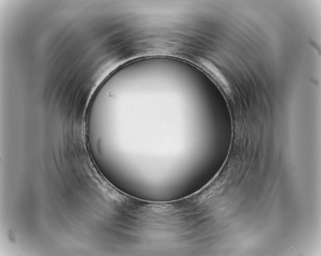 X0000093361340200710251122