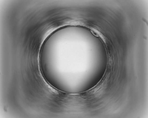 X0000093361343200710251122