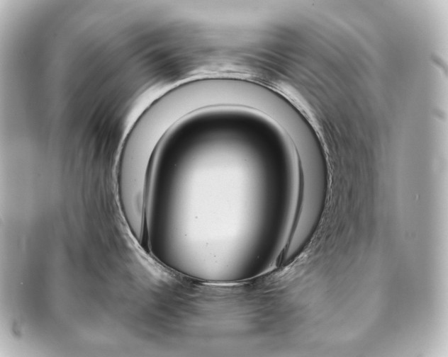 X0000093361344200710251122