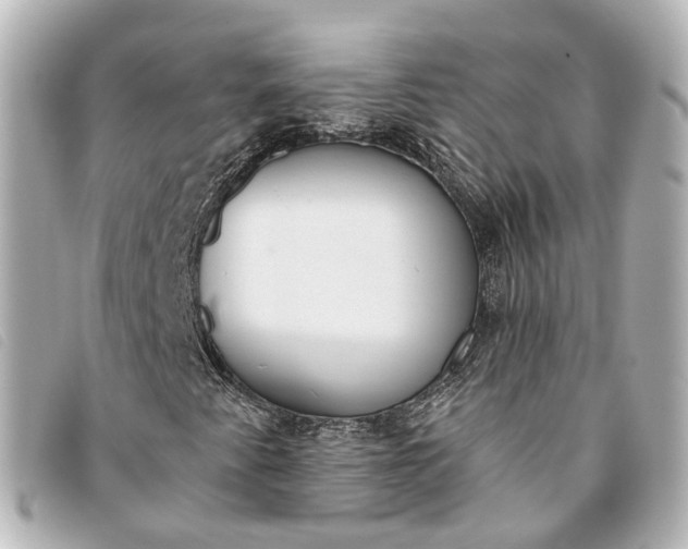 X0000093361345200710251122