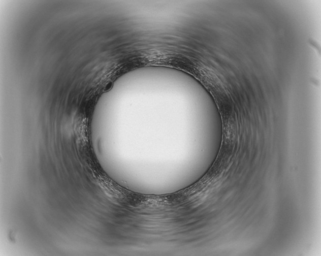 X0000093361346200710251122